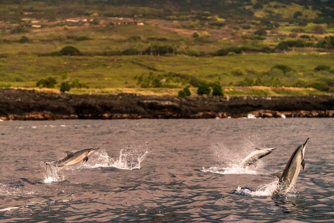 4 Hour Super-Raft Snorkeling Experience in Kailua-Kona - Exclusions and Cancellation Policy