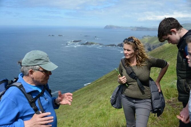 4 Hours Dingle Peninsula Private Tour - Pricing and Booking