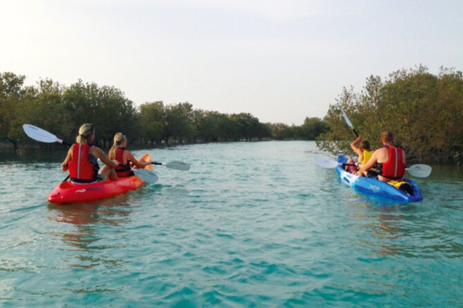 4 Hours Purple Island Mangroves Kayaking Adventure in Qatar - Preparation Tips for the Kayaking Adventure