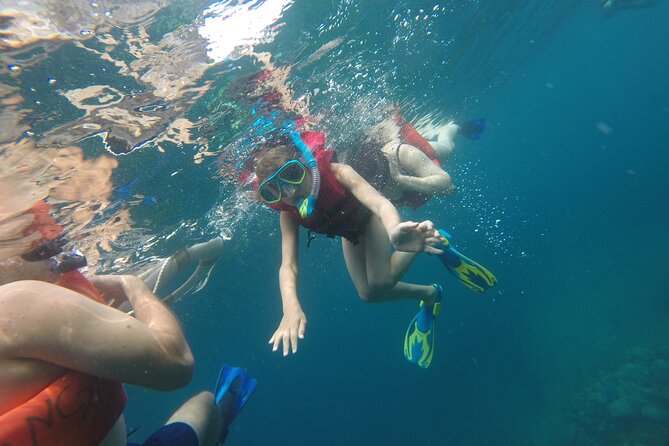 4 Hrs Private Trip: Snorkeling at Los Arcos and Colomitos - Colorful Marine Life at Los Arcos and Colomitos