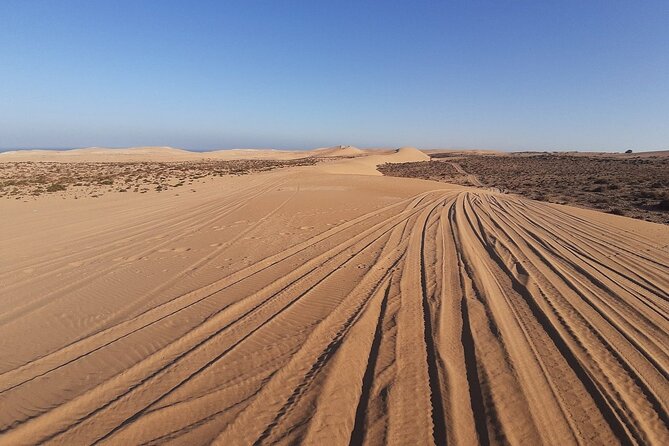 44 Jeep Desert Safari Tour With Lunch and Camel Ride - Price and Product Code