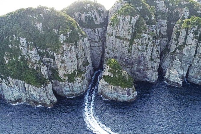 4Day Private Tour From Busan to Seoul, Gyeongju, Tongyeong, Oedo-Botania Island - Exploring Busan