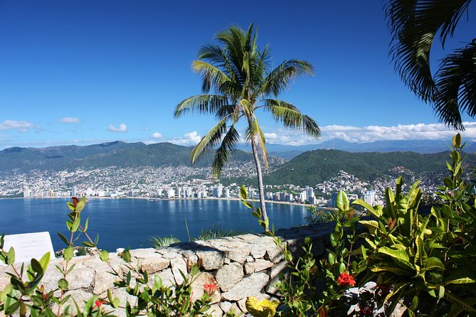 4Hrs Small Group Half Day City Tour With Lunch at High Divers - Tour Overview
