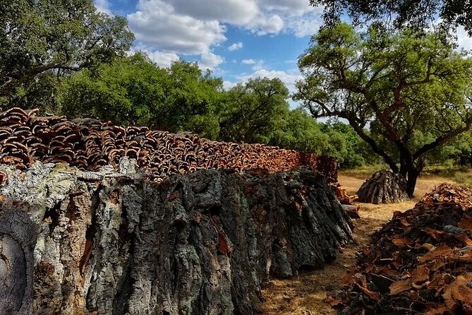 4x4 Cork Tour With Lunch & Wine Tasting - Common Questions