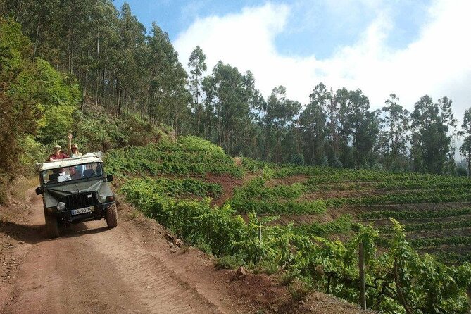 4x4 Safari Half Day Poncha, Mountains, Vineyards and Cabo Girão Small Group - Scenic Views and Landscapes