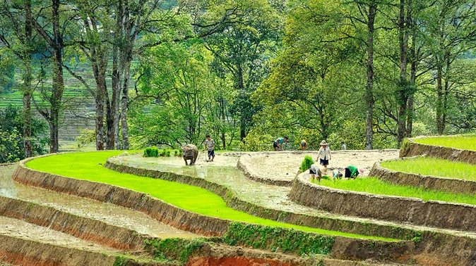 5-Day North Vietnam: Hanoi- Halong Bay - Ninh Binh -Sapa & Beyond - Accommodation Details