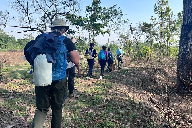 5 Days and 4 Nights Guided Walking Tour in Chitwan National Park - Itinerary Overview