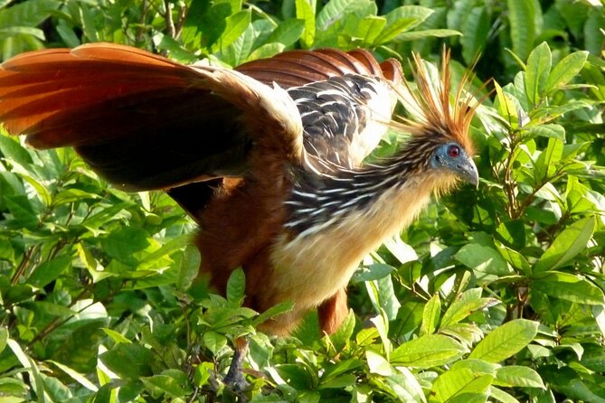 5-Days Private Manu Jungle Tour With Waterfalls and Hot Springs - Meeting and Pickup