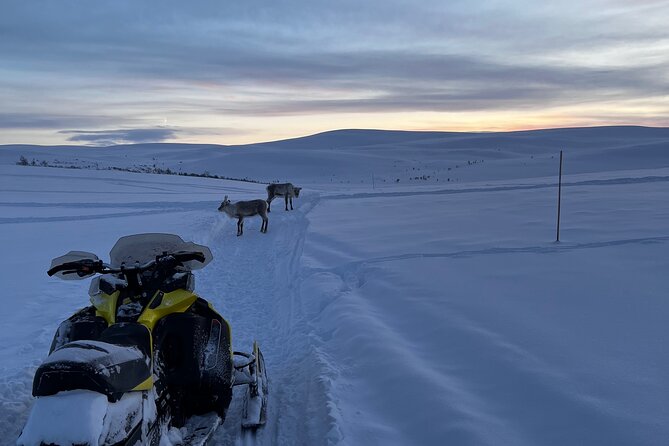 5-Hour Snowmobile Safari on the Arctic Tundra. Have Fun & Explore! - Exploring Sami Settlements