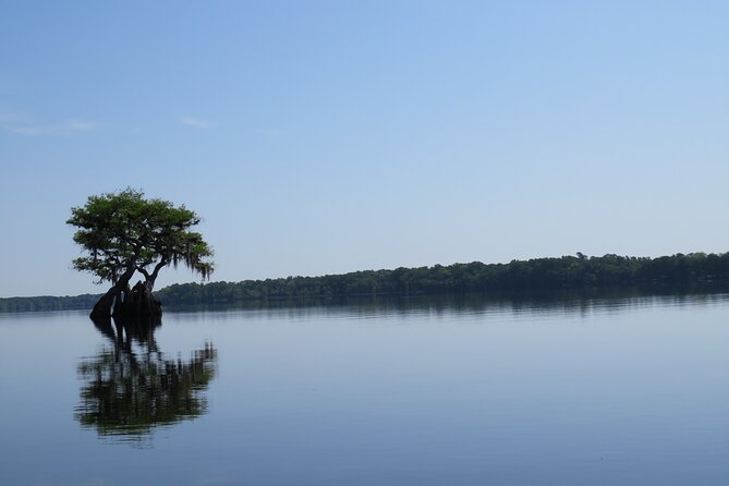 5 Hours Lake Norris Kayak Activity With Lunch - What to Bring for the Lake Norris Kayak Activity?