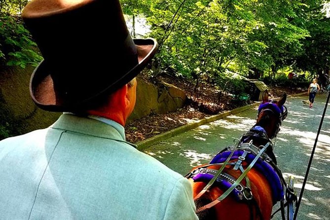 50 Minutes Central Park Horse and Carriage Tour Up to 4 Adults - What To Expect