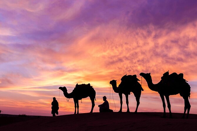 6 Days and 5 Nights Tour in Dubai and Abu Dhabi - Tips and Recommendations