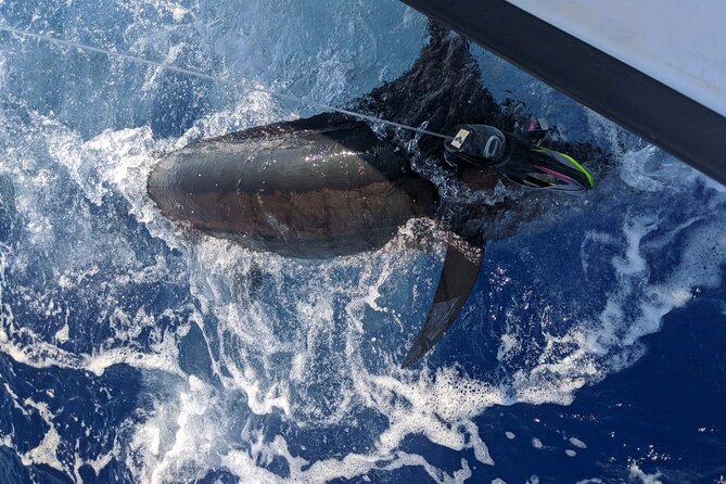 6 Hour Private Fishing Charter Kona, Hawaii - What To Expect