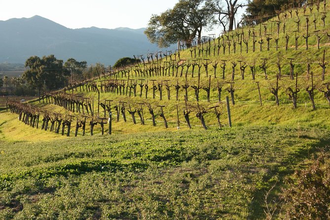 6-Hour Private Napa Wine Tour in a Lincoln MKT Crossover (up to 4 Passengers) - Traveler Reviews