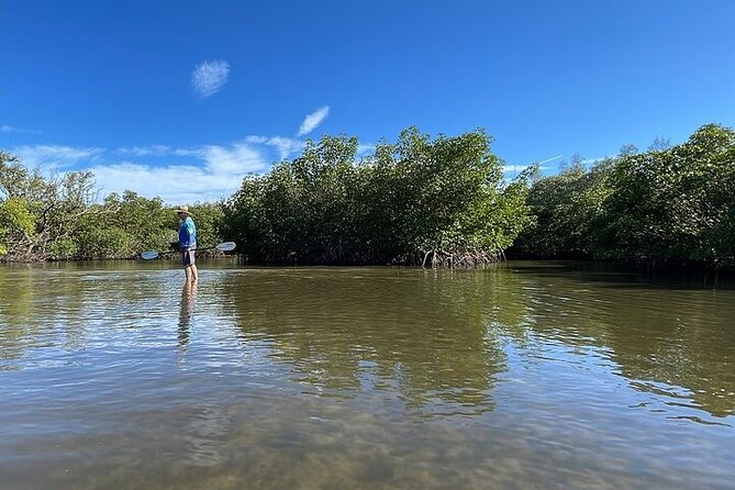 6-Hr Tropical Mangroves, Coastal River and Ocean Wildlife Watch - Meeting and Pickup Details