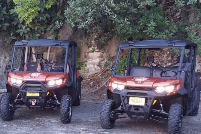 6-Seater Road Ready Buggy/Jeep Rental With Bluetooth Speakers - Overview of the Buggy/Jeep Rental Experience