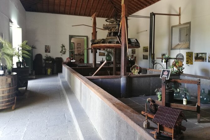 7-Hours Private Tour Volcanoes and Wine Region in the Canary Islands - Wine Tasting Experience