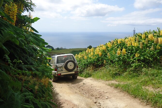 8-Hour Private Tour in 4x4 Vehicle From Ponta Delgada - Highlights of the Tour