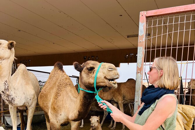8 Hours Al Ain City Tour Without Lunch - Attractions Covered