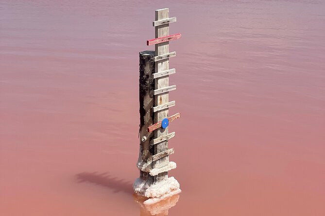 8 Hours Visit to the Camargue and the Salins D'Aigues-Mortes - Salt Production in Aigues-Mortes