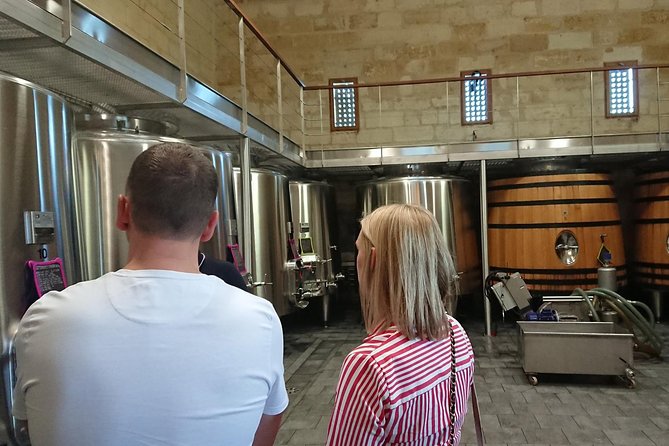 A Day in Saint-Emilion in a Small Group (Minivan Luxe) - Reviews
