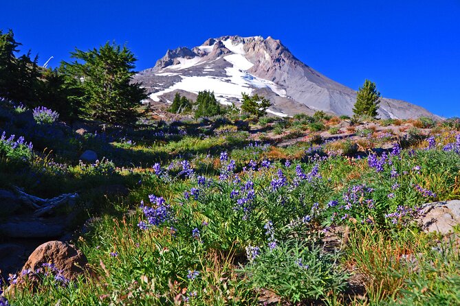 A Full Day of Wonder: Wine, Waterfalls, and Timberline Tour - Mesmerizing Waterfall Encounters