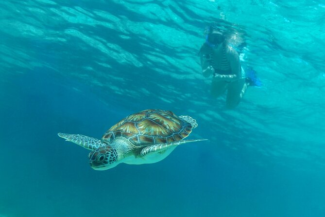 A Half-Day Riviera Maya Catamaran Tour, With Lunch  - Playa Del Carmen - Cancellation Policy