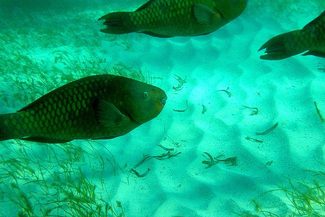 A Unique Private Snorkel Tour of Key Largo - Location and Accessibility