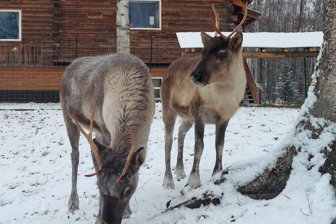 A Walk in the Woods...with REINDEER! - Directions to the Meeting Point
