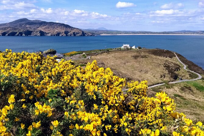 A Walk Through Time in Fort Dunree - Meeting and Pickup