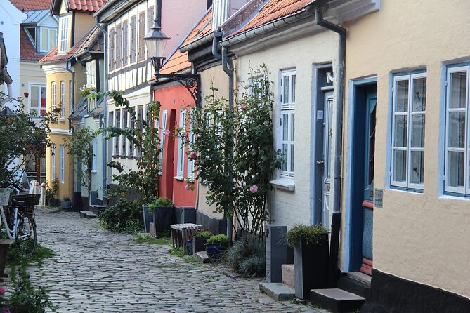 Aalborg Private Cultural Walking Tour - Inclusions