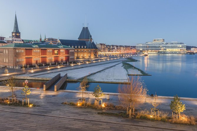 Aarhus Private Transfer From Aarhus City Centre to Aarhus Airport - Whats Included