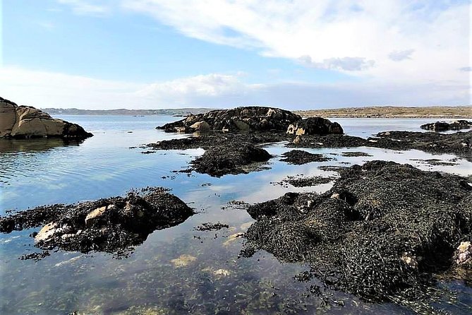 Abalone Farm Tour and Tasting With Coastal Seaweed Walk. Guided. 2 Hours - Additional Info
