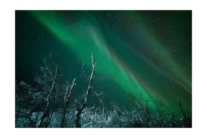 Abisko Northern Light Budget Tour - Meeting and Pickup