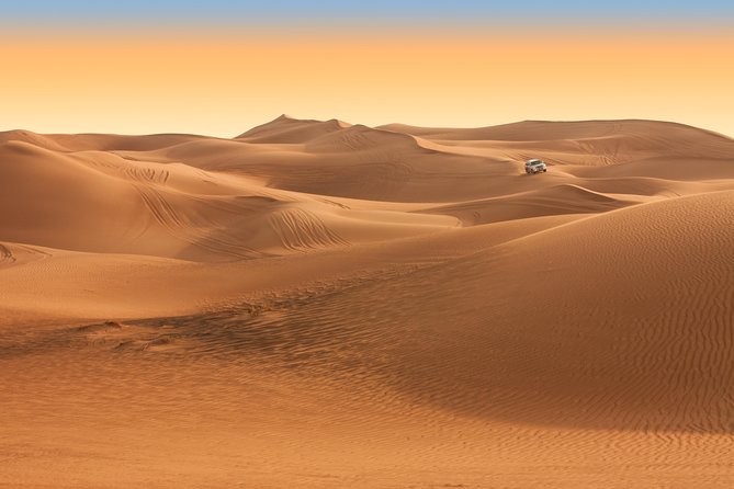 Abu Dhabi 6-Hour Desert Safari With BBQ Dinner - Reviews and Testimonials From Travelers