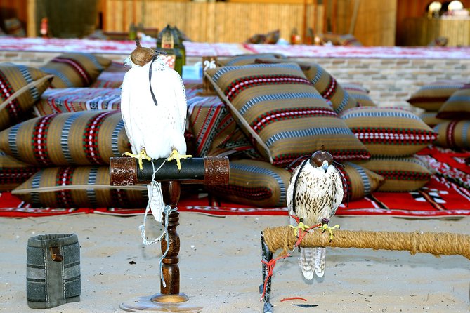 Abu Dhabi Afternoon Desert Safari and BBQ Dinner - Immersive Experience at the Bedouin Camp