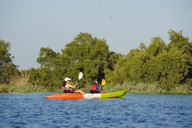 Abu Dhabi Eastern Mangrove Lagoon National Park Kayaking - Guided Tour - Questions and Help