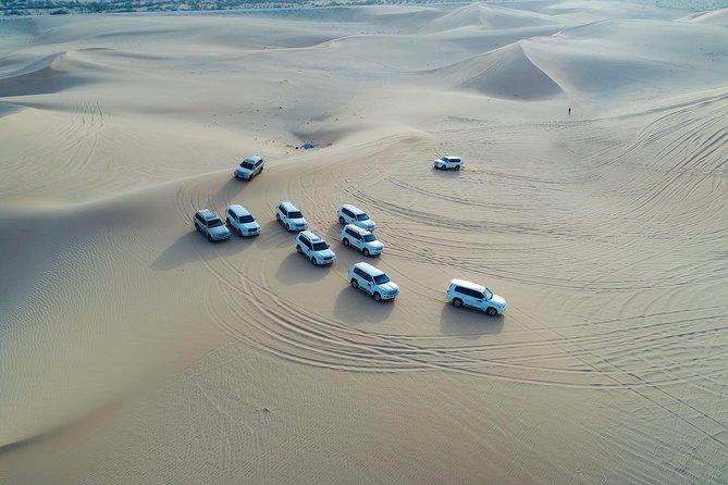 Abu Dhabi Half Day Desert Safari - Inclusions and Activities
