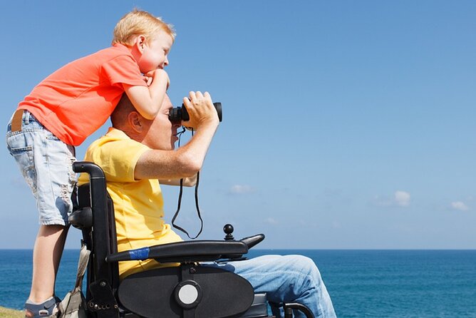 Accessible Tour In Athens, 3 Hours Athens Panorama Shore Excursion - Tour Overview