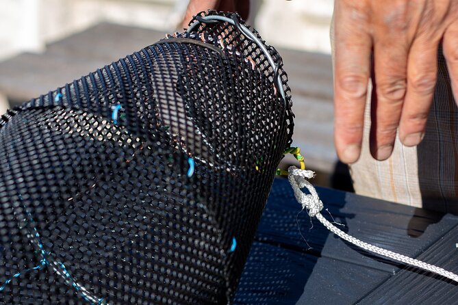 Accompany the Last Professional Fisherman of Bordeaux (On the Garonne) - A Day in the Life of a Professional Fisherman