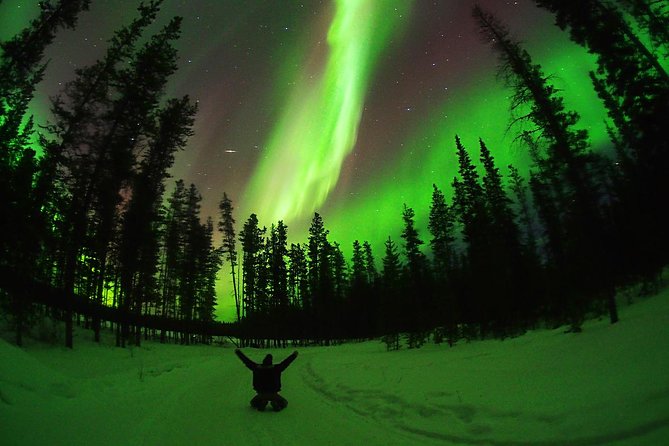 Active Winter Adventure in Yukon 5 Days - Relaxation in Natural Hot Springs