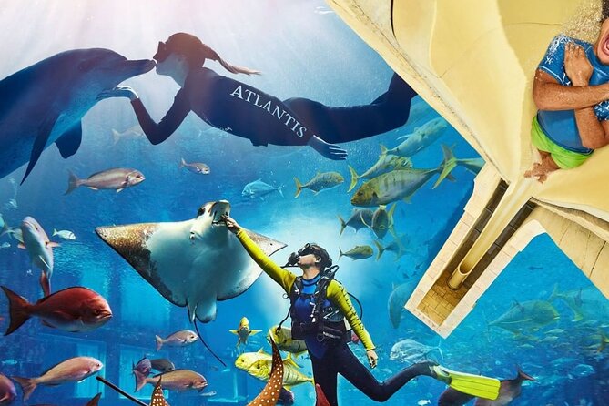 Admission Tickets Aquaventure and Lost Chambers Aquarium Dubai - Captivating Animals at The Lost Chambers Aquarium