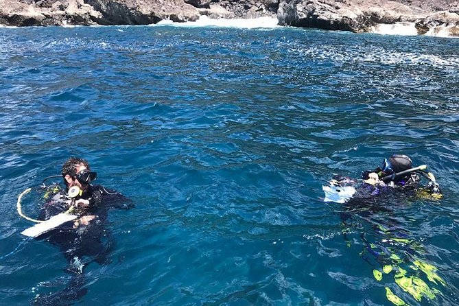 Advanced Diving Course in La Restinga, El Hierro - Prerequisites for the Course