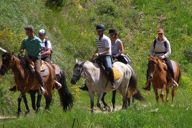 Adventure Horse Riding From Kusadasi / Selcuk Hotels - Explore the Aegean Flora and Fauna