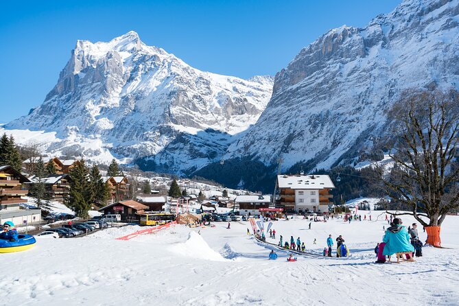 Afternoon Beginner Package Ski in Interlaken - Ski Slope Difficulty Level