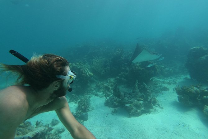 Afternoon Half Day Cruise From Providenciales With Snorkeling and Iguana Island - Common Questions
