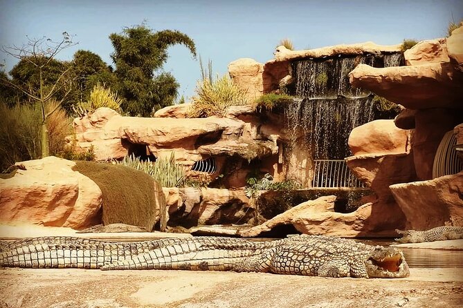 Agadir Crocopark Round-Trip Transfer - Traveler Photos