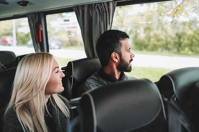Airport Transfer in Iceland From Reykjavik City to Keflavik Airport With Hotel Pick up - Traveler Photos and Reviews