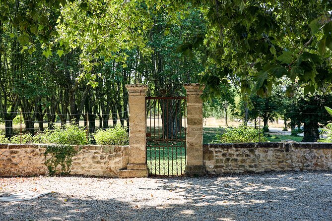 Aix-En-Provence Old Town, Wine & Art of Châteaux Beaupré & Bonisson Private Tour - Art and Culture in Aix-en-Provence