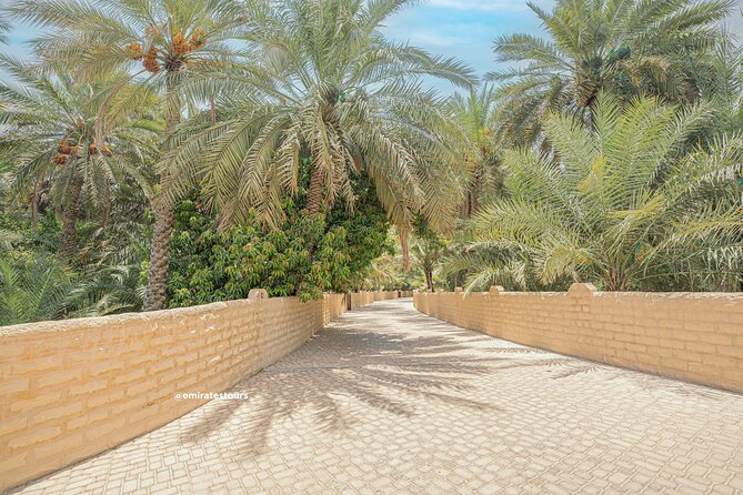 Al Ain Full Day Trip From Abu Dhabi With Lunch - Whats Included
